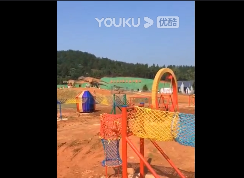 视频展示