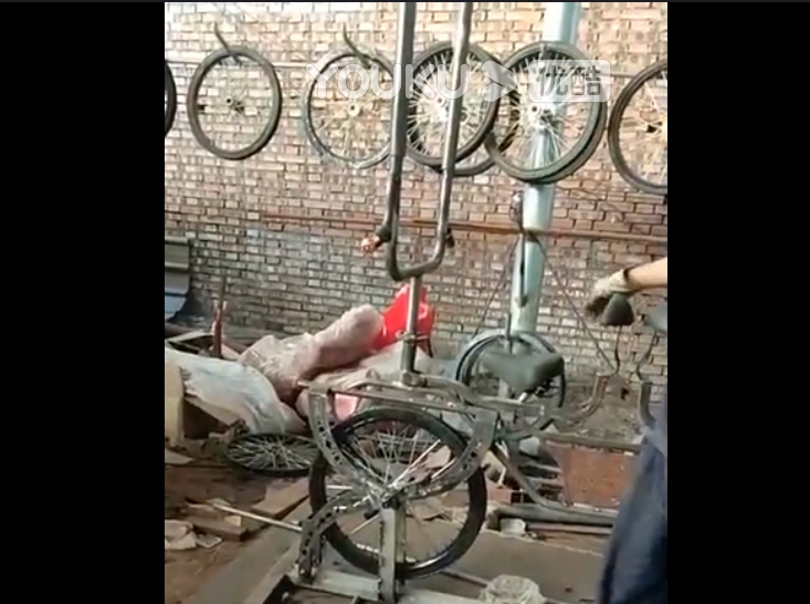 视频展示
